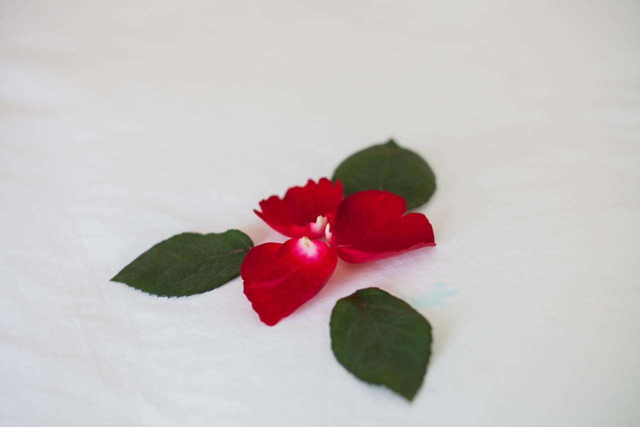 Sapa Tulip Hotel 外观 照片